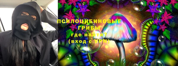 бутират Алзамай
