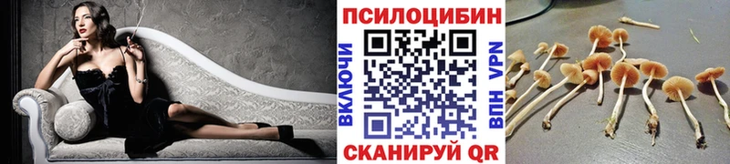 наркошоп  Тобольск  Псилоцибиновые грибы Magic Shrooms 