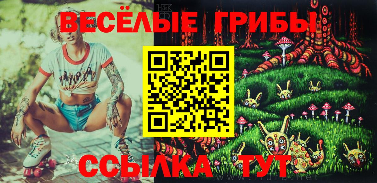 Тобольск  Псилоцибиновые грибы Psilocybine cubensis  Вход с VPN 